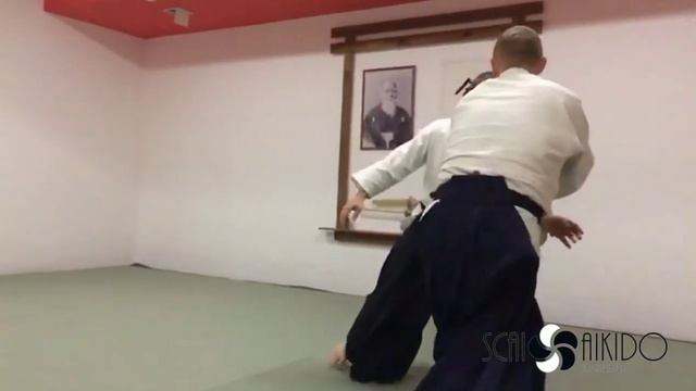 Скай додзё. Айкидо для взрослых смотреть онлайн