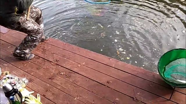 29.09, КМ ЛОВИМ ФОРЕЛЬ НА НИЖНЕМ смотреть онлайн