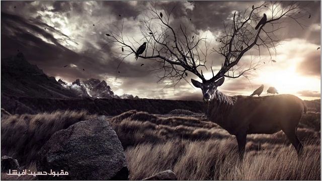 Islamic Motivational Background Music || Islamic Sound Effect