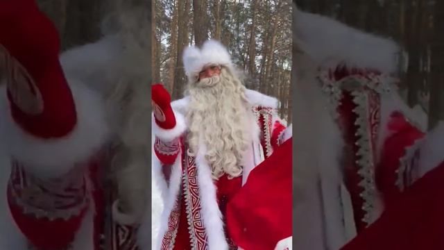 заказ Деда Мороза на дом в Новосибирске смотреть онлайн