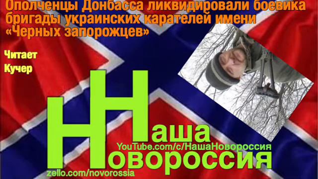 Ополченцы Донбасса ликвидировали боевика бригады украинских карателей имени «Черных запорожцев» смотреть онлайн