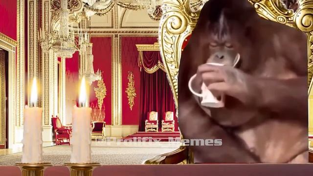 ГРАФ ОРАНГУТАНГ ПЬЁТ ЧАЙ | Обезьяна пьёт чай Мем | Видео для мемов смотреть онлайн