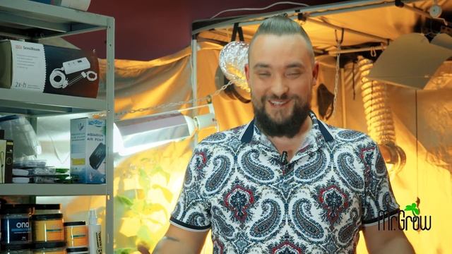 #1 Как выращивать растения дома / Mr.GrowChannel смотреть онлайн