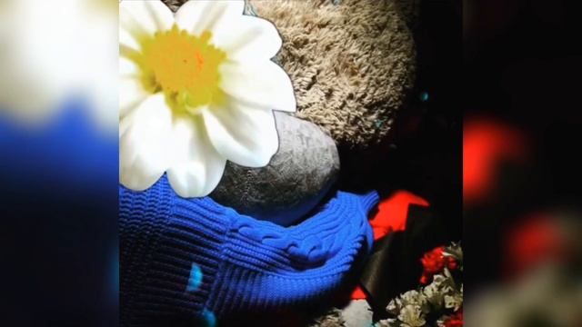 Mira Niqobsiz Tushgan Rasmini Instagramga Joyladi. #uzmirmedia #uzmirmira #jonliijro