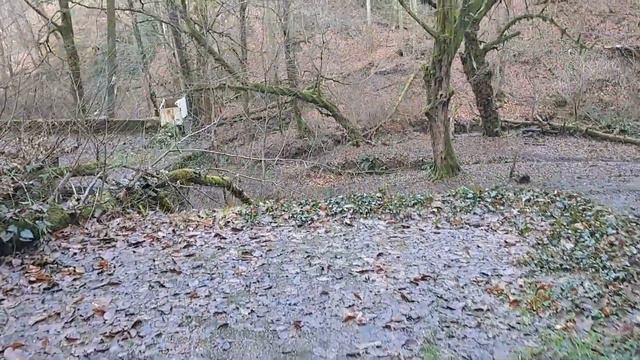 #26 Сочи. Заброшенный ресторан в селе Пластунка смотреть онлайн