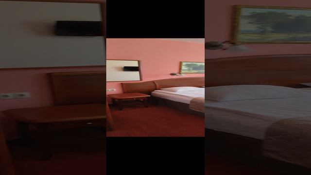 VID_20230730_124254.mp4