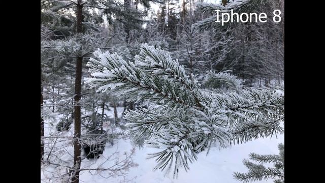 Canon EOS 250D Compared With Iphone 8 смотреть онлайн