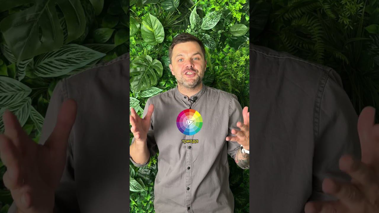 Правила сочетания цвета на макете смотреть онлайн