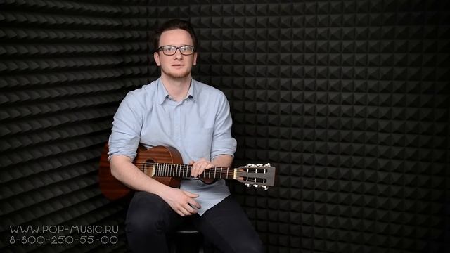 Акустическая гитара ARIA ASA-18H N (компактная гитара для путешествий) смотреть онлайн