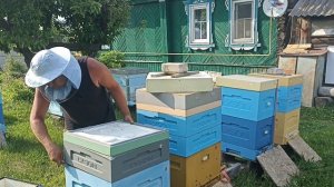 Ставлю вторые магазины для сотового мёда! Пчеловодство!