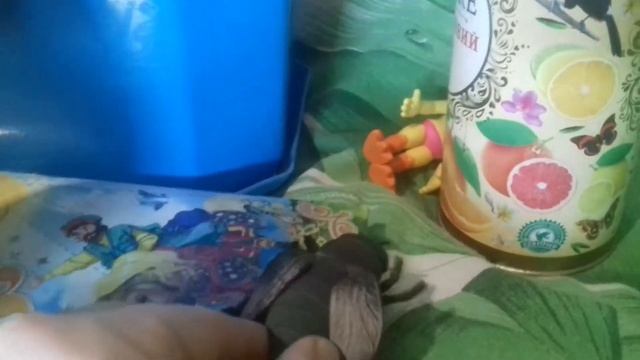 Жужа играет в прятки с друзьями смотреть онлайн