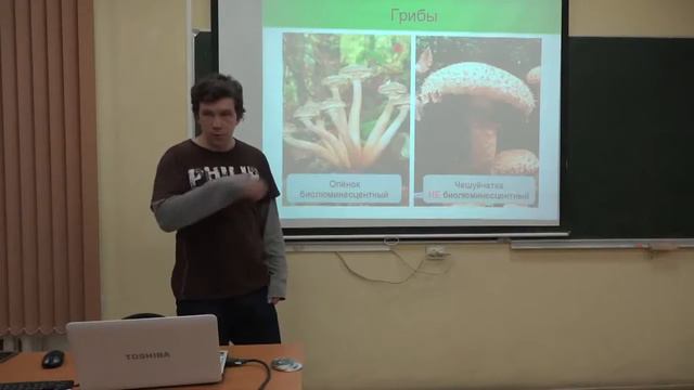 Живой свет Максим Дубинный смотреть онлайн