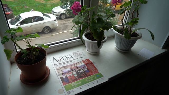 2019-07-26 - Мой двор. Мой подъезд. Проверка качества работ (Лобня) смотреть онлайн