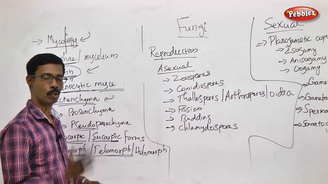 TN 11th Std Biology || Diversity of Living World || New Syllabus-2018 || Part 09 || VOL 1 смотреть онлайн