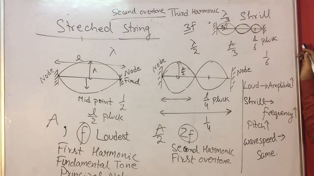 Sound 02 : Free ,Forced & Damped Vibrations : ICSE class 10 смотреть онлайн