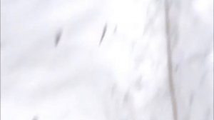 Протонный магнитометр DEEPGEOTECH. Полевой тест.