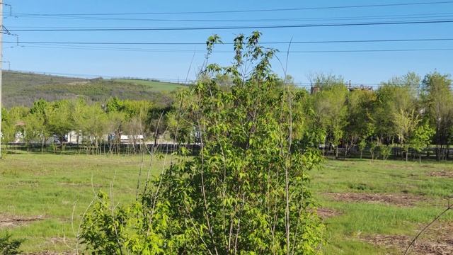 Россия 303. Работа АРУ на СВ. смотреть онлайн