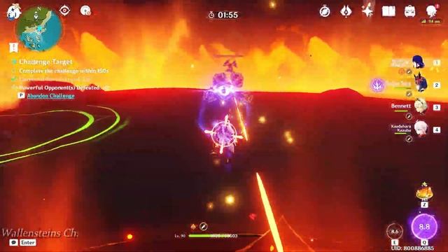 HIDDEN RAIDEN EI VOICE ON THE SHOGUN BURST смотреть онлайн