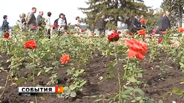 25 сентября в Самаре появится музыкальный фонтан смотреть онлайн