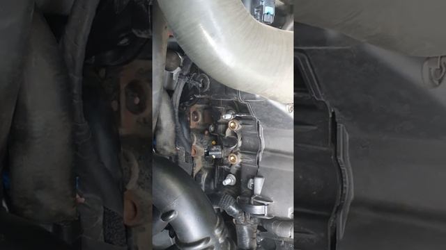 рено талисман . как найти и сфотографировать номер двигателя. смотреть онлайн