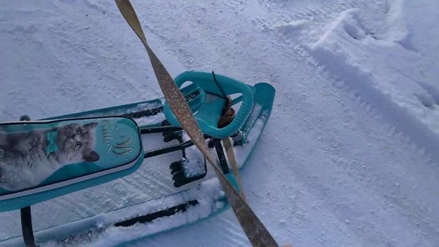 Покатушки с собакой на снегокате смотреть онлайн