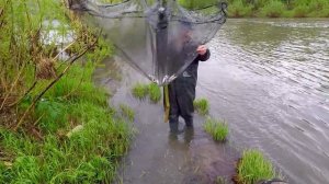 Ловим Уклейку! Как БЫСТРО Наловить Уклейку для Приготовления Шпрот!