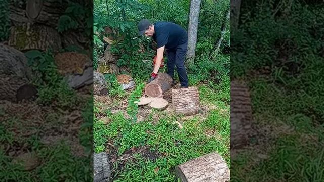 Husqvarna 36 смотреть онлайн