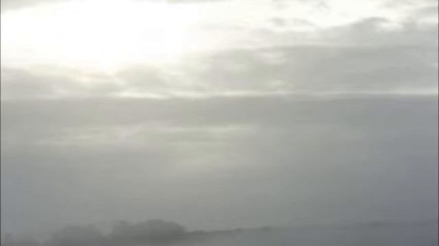 Beauty of Dawn dance смотреть онлайн