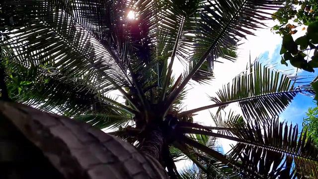 #Relaxing flute music for deep sleep##Krishna plute sound#Flute music for meditation and yoga смотреть онлайн