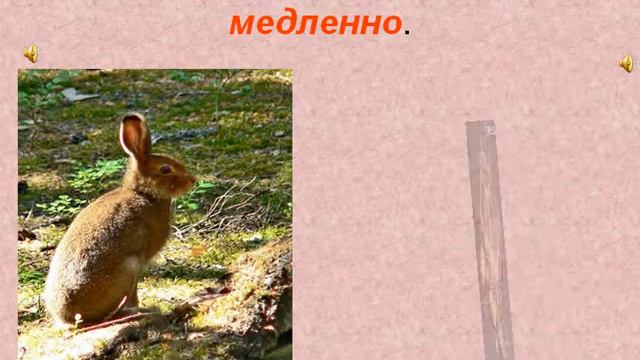 Противоположности смотреть онлайн