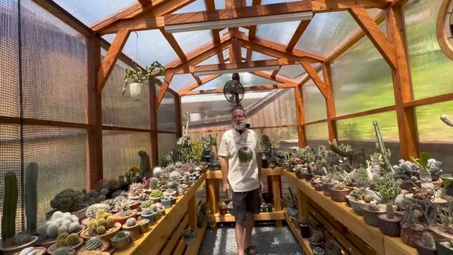 The reunited and it feels soo good GREENHOUSE TOUR: Crazy 4 Cactus edition on shake down street смотреть онлайн