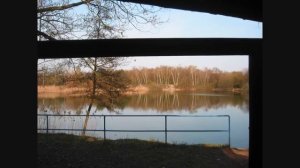 Im grünen Wald, da wo die Drossel singt - Volkslied - Instrumental