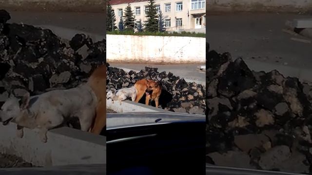 на буксире.3gp смотреть онлайн