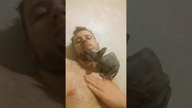 Какие сфинксы на самом деле?