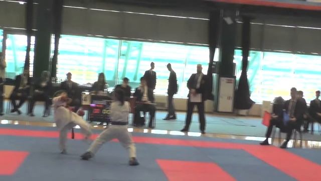 Всероссийский турнир по каратэ WKF "Кубок Ак-барс" 7-9 апреля 2017 г. смотреть онлайн