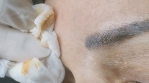 Техника ПЕРЕКРЫТИЯ СЕРЫХ БРОВЕЙ