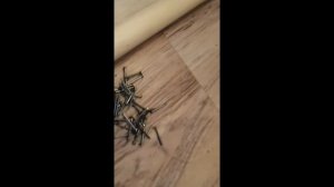 Недорогой экран для проектора своими руками