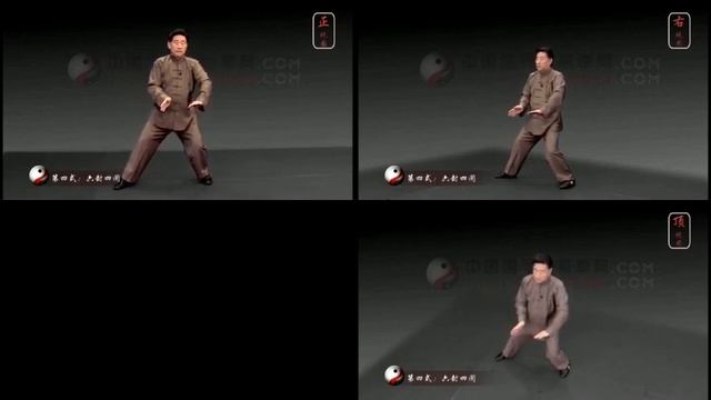 Chen Xiao Wang | Laojia Yilu | Movements 1-10 | 3 Angles | Front, Side, Above Together