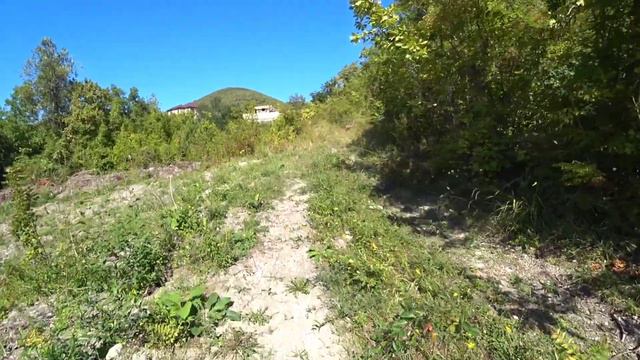 Ждëм неожиданных, приятных гостей/а девушку зовут Танечка🙂/арбуз вырос сам по себе/готовлю ужин смотреть онлайн