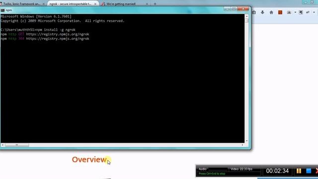 Hosting with NgrokForwarding tunnels смотреть онлайн