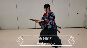 Убираем катану в ножны. Варианты. @tenshinryu