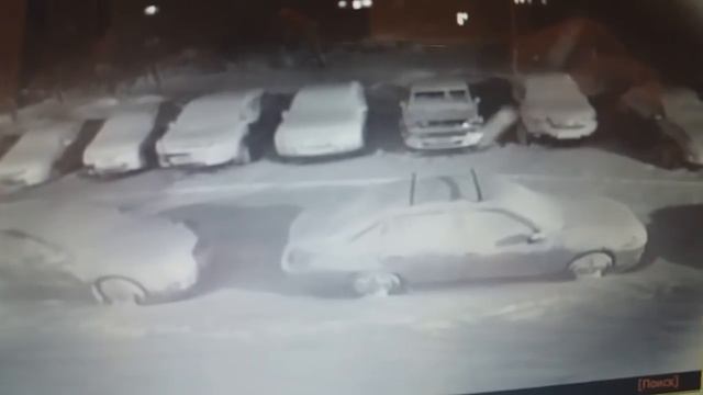 Крадуны вредители 03.03.19 смотреть онлайн