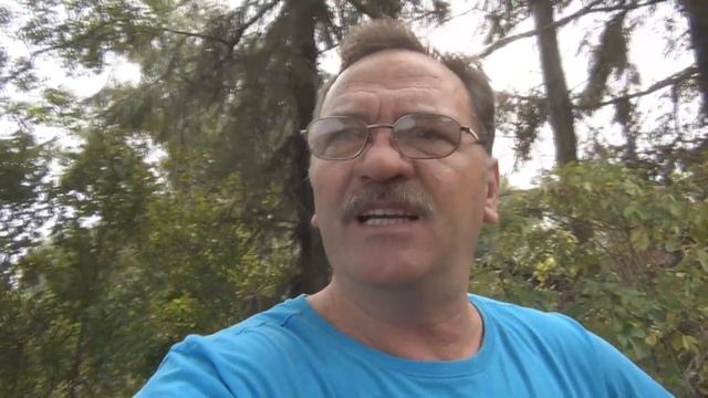 ПЛЕМЯННИЦА С СЕМЬЁЙ У НАС НА ДАЧЕ/ВОРОВСТВО В ГЕРМАНИИ смотреть онлайн