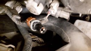 TOYOTA rav4 меняем лампочку габаритов в передней фаре