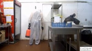 Профессиональная обработка от тараканов.