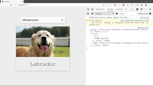 React App ✅ DOG API - Con Manejo de Errores - Para principiantes con Hooks смотреть онлайн