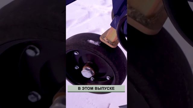 Шоу и Концерты