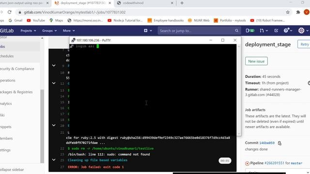 Publish or Deploy Python Django project using Gitlab CICD on production server by Vinod Kumar смотреть онлайн