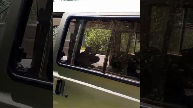 Vanlife начало