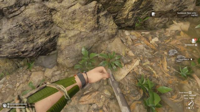 Green Hell | Episode 16 | Heading Out To Look For New Blueprints смотреть онлайн